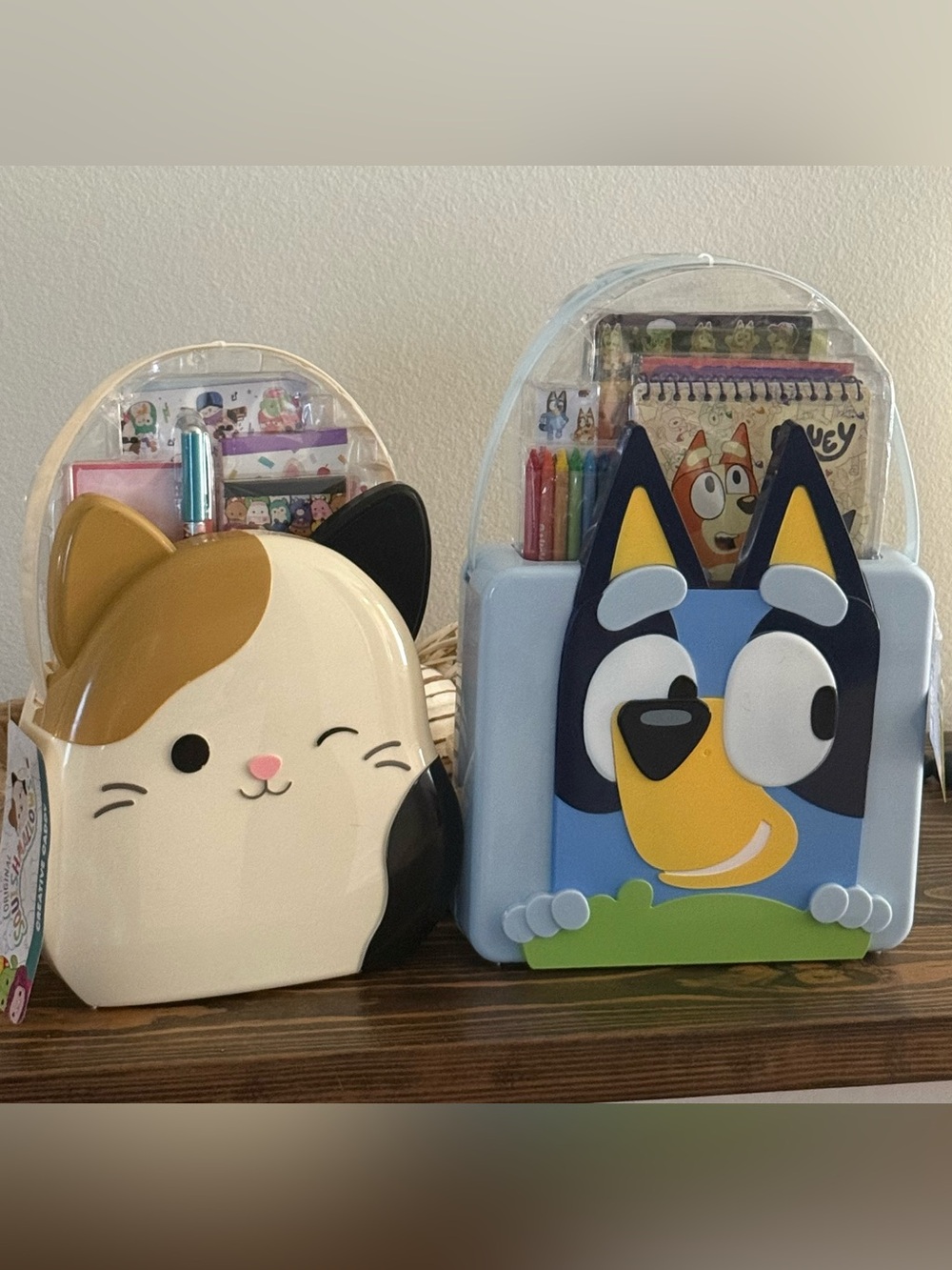 Squishmallows and Bluey Kids Character Carrying Case stationary Set